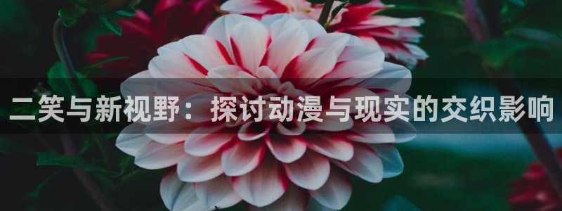 复仇母女韩漫免费在线观看：二笑与新视野：探讨动漫与现实的交织影响