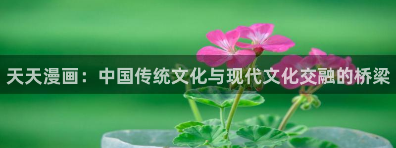 韩漫免费网站推荐：天天漫画：中国传统文化与现代文化交融的桥梁