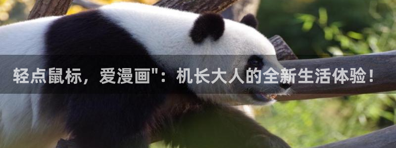 韩漫网站在线观看免费看：轻点鼠标，爱漫画\