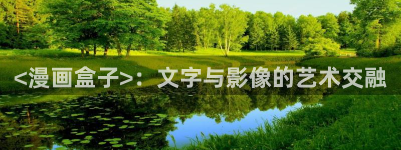 韩漫之家免费漫画页面在线看：<漫画盒子>：文字与影像的艺术交融
