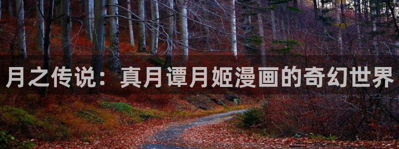 怎样才能看韩漫：月之传说：真月谭月姬漫画的奇幻世界