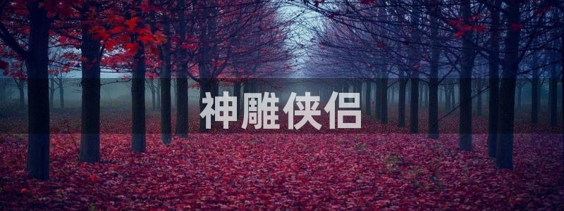 韩漫信义漫画在线观看免费：神雕侠侣