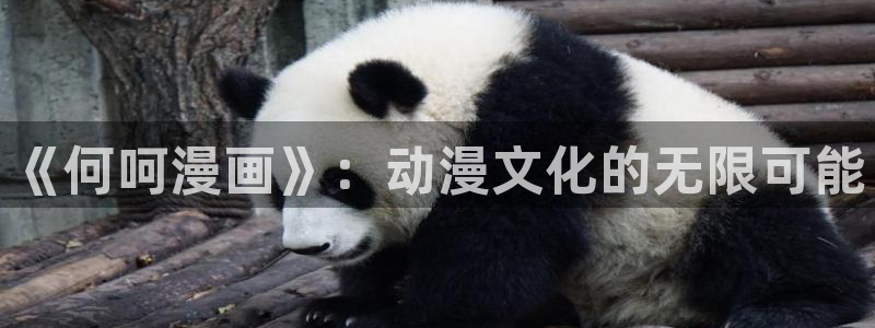 韩漫无删减免费在线看：《何呵漫画》：动漫文化的无限可能