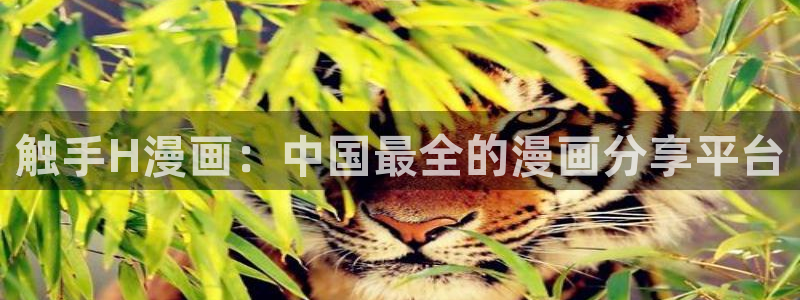 看韩漫有什么免费的：触手H漫画：中国最全的漫画分享平台