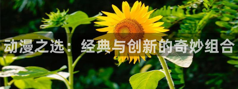 韩漫免费观看歪歪漫画：动漫之选：经典与创新的奇妙组合