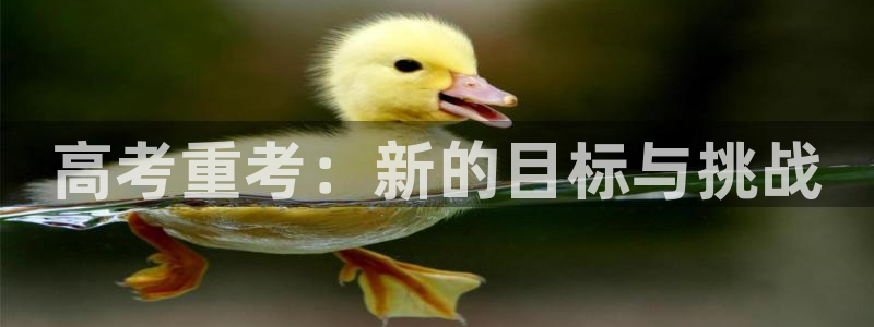 韩漫免费观看免费：高考重考：新的目标与挑战