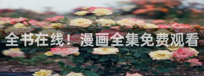 阿姨漫画韩漫：全书在线！漫画全集免费观看