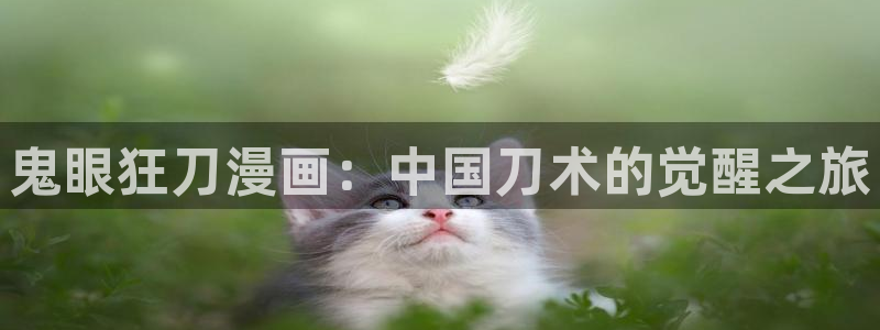 51韩漫在线：鬼眼狂刀漫画：中国刀术的觉醒之旅