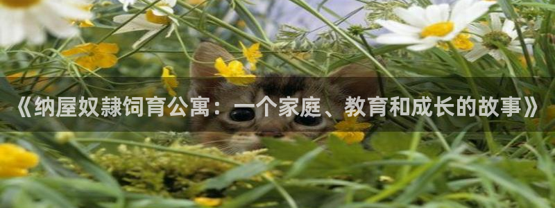 韩漫画在线免费入口：《纳屋奴隷饲育公寓：一个家庭、教育和成长的故事》