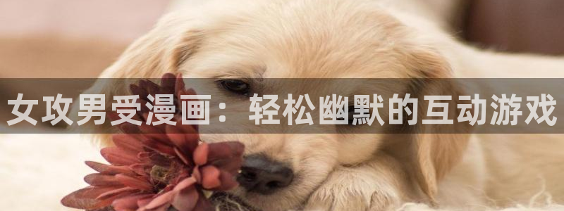 韩漫免费资源大全：女攻男受漫画：轻松幽默的互动游戏