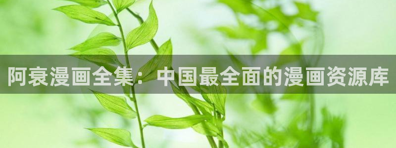 黄色韩漫网站：阿衰漫画全集：中国最全面的漫画资源库