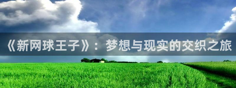 羞羞歪歪漫画韩漫：《新网球王子》：梦想与现实的交织之旅