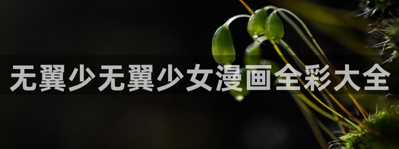 韩漫千金漫画大全免费观看：无翼少无翼少女漫画全彩大全