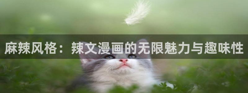 韩漫画软件免费：麻辣风格：辣文漫画的无限魅力与趣味性
