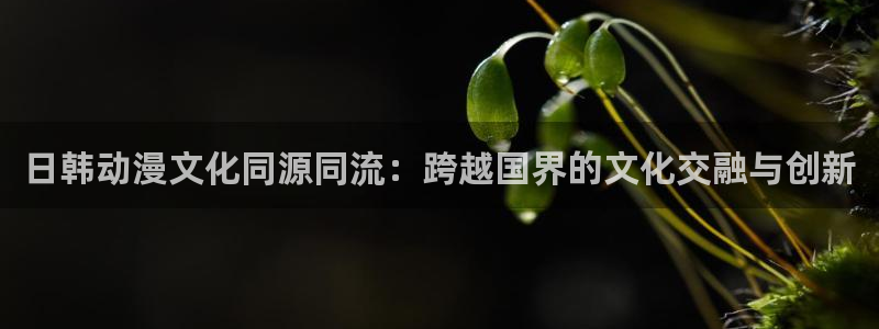 韩漫日漫在线观看免费：日韩动漫文化同源同流：跨越国界的文化交融与创新